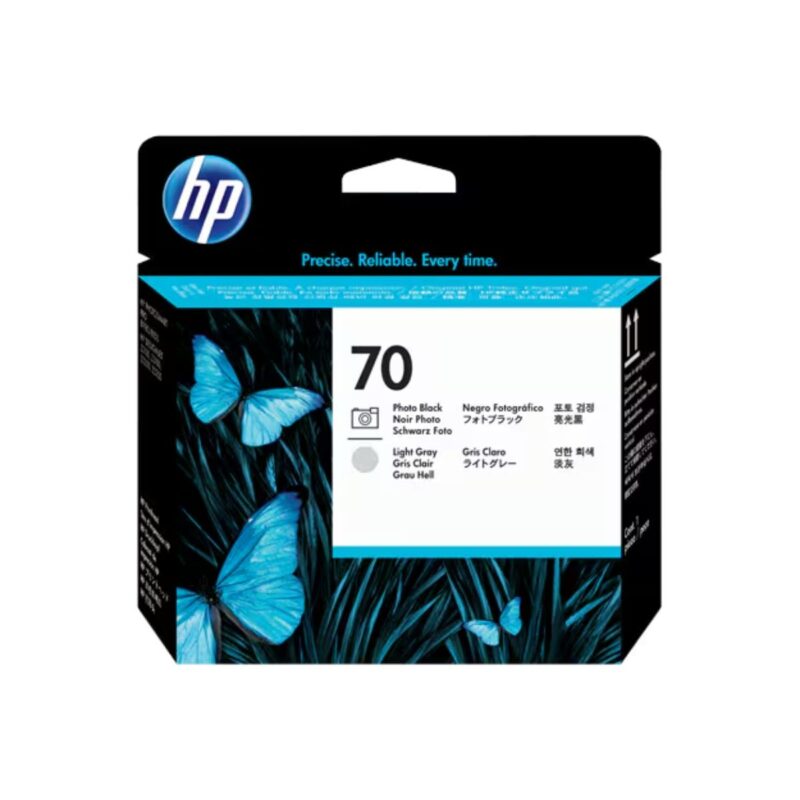 HP 70 Photo Black and Light Gray DesignJet